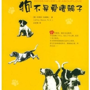 “美閱 讀書”——犬守太平世，梅開如意春