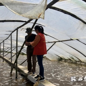 南通如東：海上飄來了書香氣