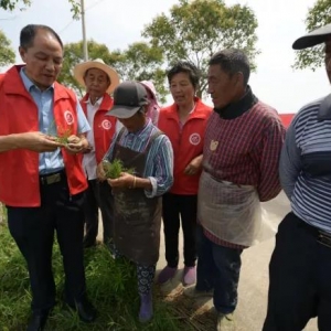 江蘇南通海安隆政街道：紅色閱讀“七進(jìn)”，禮贊建黨百年