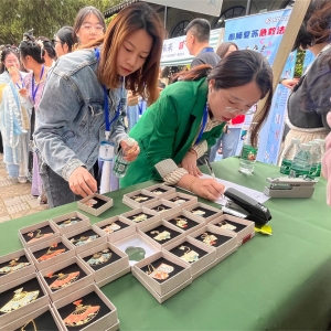 無錫濱湖：書香伴游園 理論潤(rùn)心田